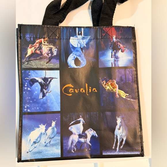 Cavalia Reusable Shopping Tote Bags, Set of 2 - Picture 2 of 3
